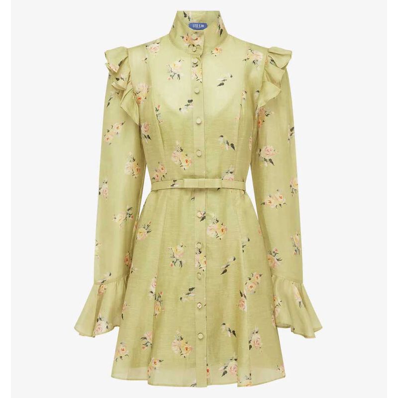 LEO LIN Kristy Butterfly Sleeve Mini Dress - Pistachio Rose Print image number 2